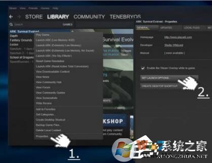 Win10玩生存進化報錯“視頻驅(qū)動程序崩潰并被重置”怎么解決？