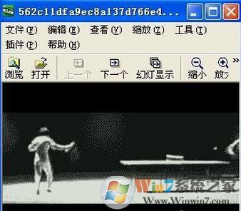 gif怎么打開？win7系統(tǒng)打開gif格式文件的方法