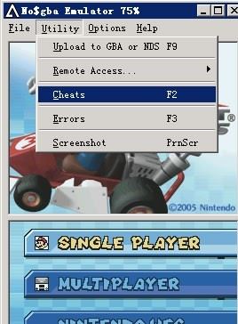 nds模擬器金手指怎么用？nds金手指詳細(xì)使用教程