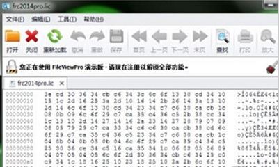 lic文件怎么打開？lic格式文件打開亂碼的解決方法