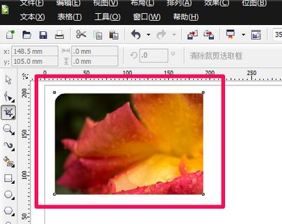 cdr裁剪工具怎么用？cdr軟件中裁剪工具使用方法
