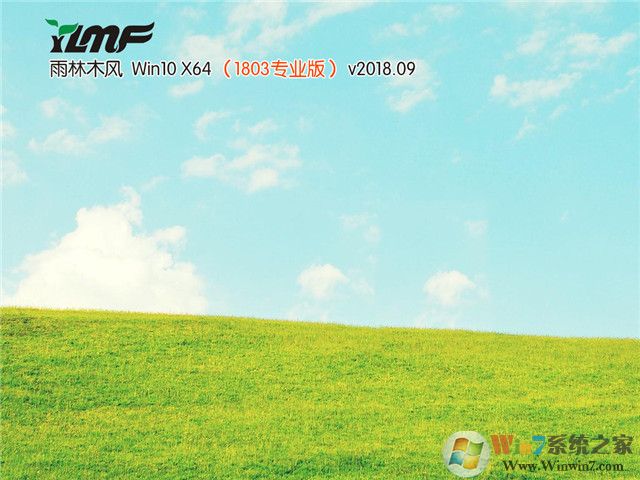 雨林木風GHOST WIN10 21H1 19043 64位專業(yè)版V2110