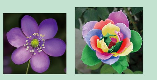 Photoshop橫排文字蒙版工具怎么用？ps橫排文字蒙版工具用法