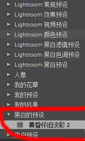 lr預(yù)設(shè)怎么導(dǎo)入？教你導(dǎo)入lr預(yù)設(shè)的詳細(xì)操作方法