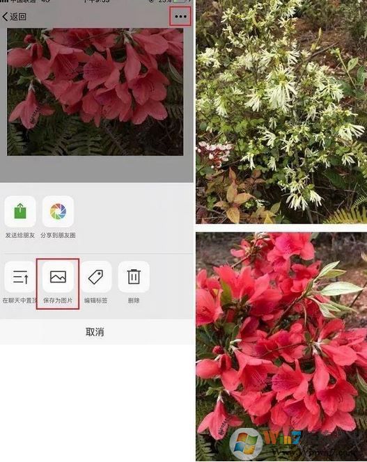 手機怎么截長圖？教你蘋果手機截長圖操作方法