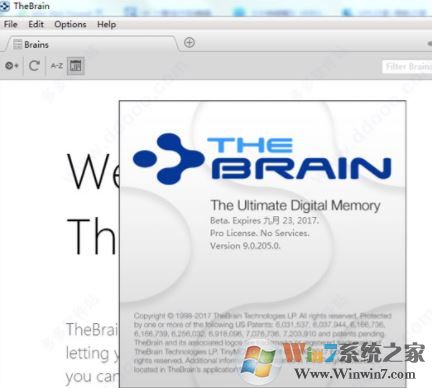 TheBrain10破解版_TheBrain(思維導(dǎo)圖)V10.0.17.0 破解版