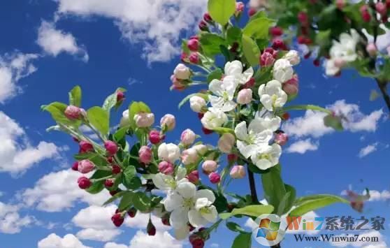 ps色彩范圍怎么用？教你PS使用色彩范圍來摳圖的方法