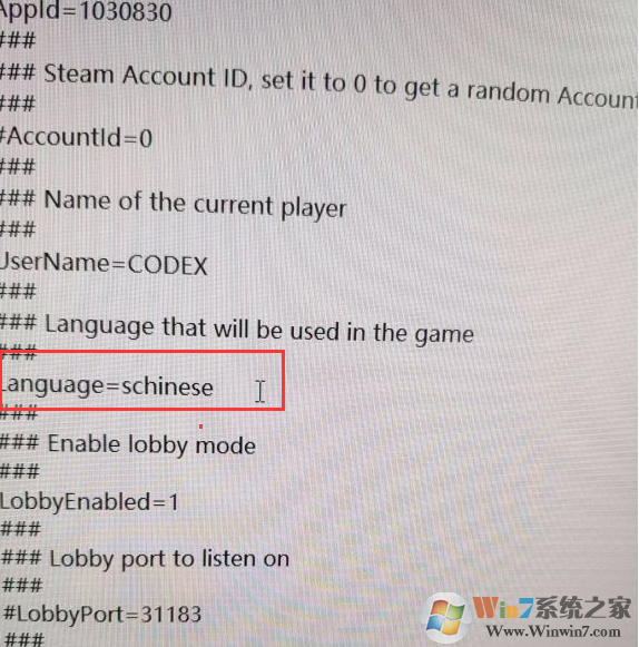 四海兄弟2怎么設(shè)置中文？四海兄弟2英文調(diào)中文方法