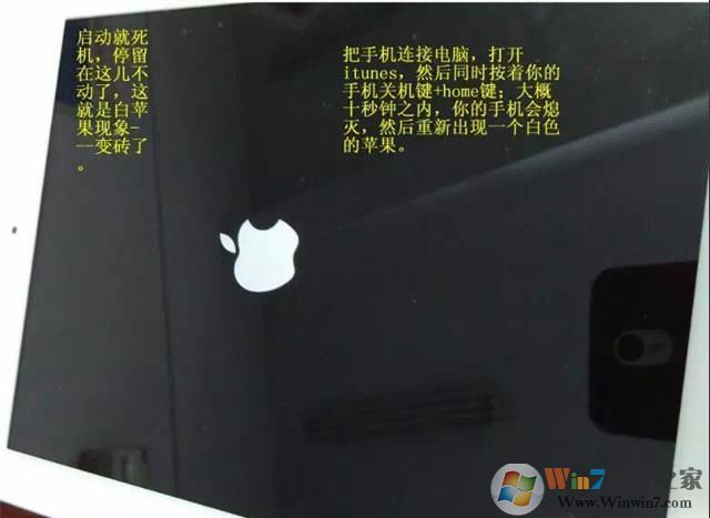 蘋果手機/iPAD白蘋果(白色蘋果LOGO無法啟動)怎么恢復方法