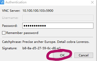 vnc4.0中文版 vnc4.0漢化版