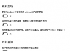 Win10強制更新20h2怎么關(guān)閉?Windows10強制更新20H2的解決方法
