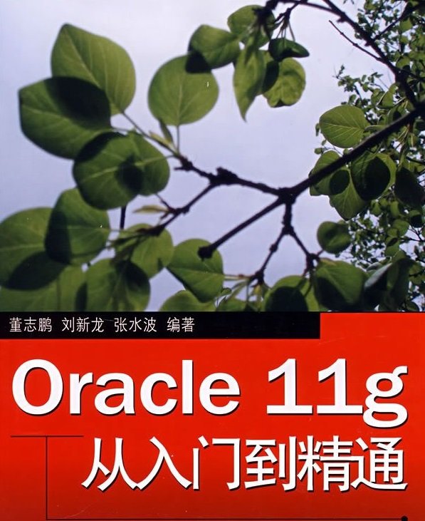 oracle11g電子書pdf oracle11g從入門到精通pdf