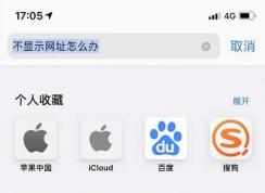 蘋果手機/iPad無法復(fù)制瀏覽器網(wǎng)址的解決方法