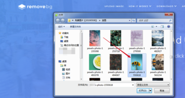 Removebg免費(fèi)破解版摳圖教程
