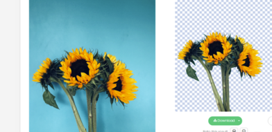 Removebg免費(fèi)破解版摳圖教程