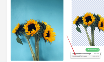Removebg免費(fèi)破解版摳圖教程