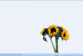 Removebg免費(fèi)破解版摳圖教程