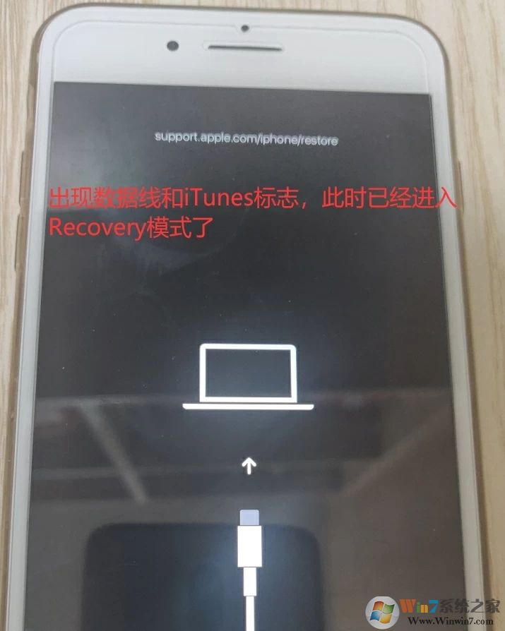 成功進入恢復模式