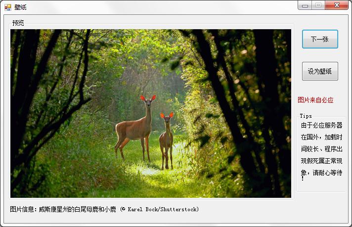 必應每日一圖下載工具