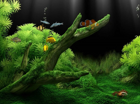 桌面游魚動態(tài)水族館