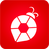 去海外服務(wù)平臺