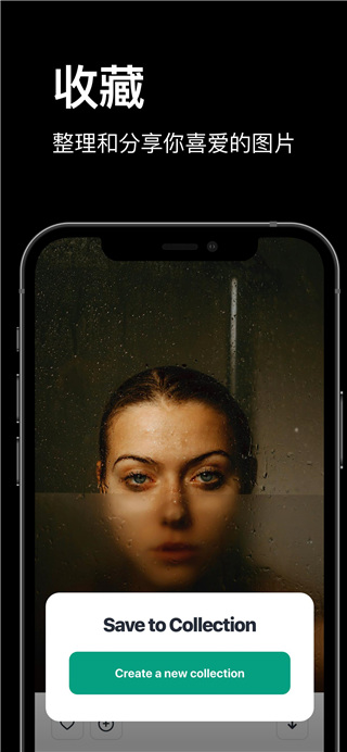 pexels免費素材網