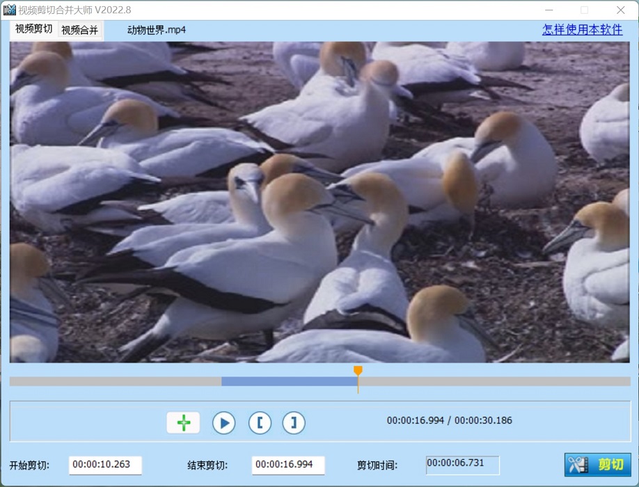 視頻編輯精靈免費版