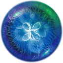 彩29app官方安卓版