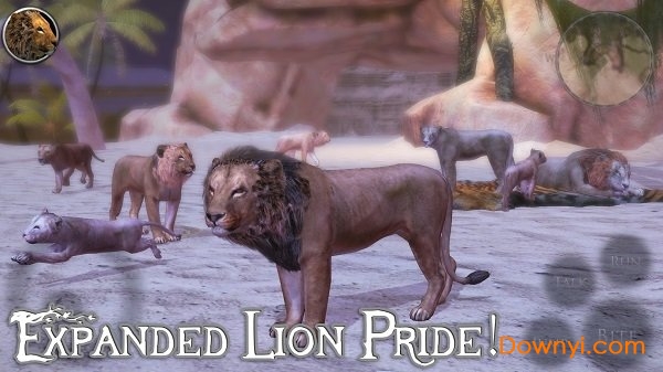 終極獅子模擬器2手機版 終極獅子模擬器2手游