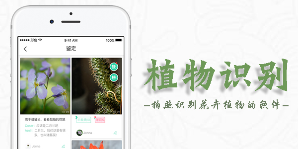 手機植物識別軟件大全_免費植物識別APP_植物識別掃一掃APP