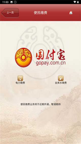 國付寶手機(jī)版