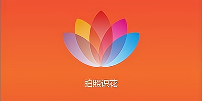 拍照識(shí)花APP下載大全_拍照識(shí)花軟件APP合集