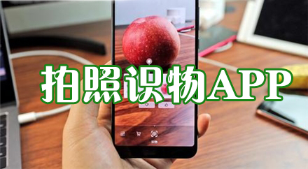 拍照識(shí)物APP下載大全_拍照識(shí)萬(wàn)物_識(shí)萬(wàn)物掃一掃_(dá)拍圖識(shí)物軟件合集