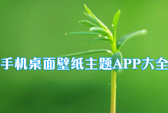 手機(jī)桌面壁紙APP下載_好用的手機(jī)主題APP大全2023