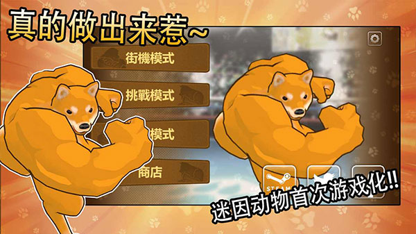 動(dòng)物之斗最新版