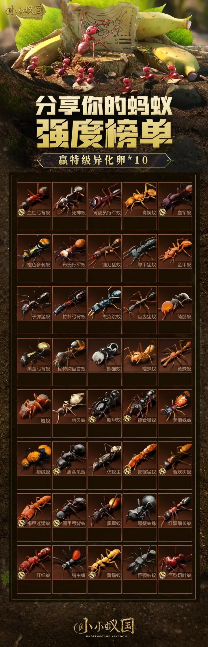 小小蟻國(guó)(附兌換碼+教程)