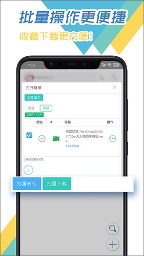 飛鳥(niǎo)下載器app