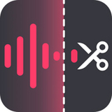 金舟音頻大師電腦版