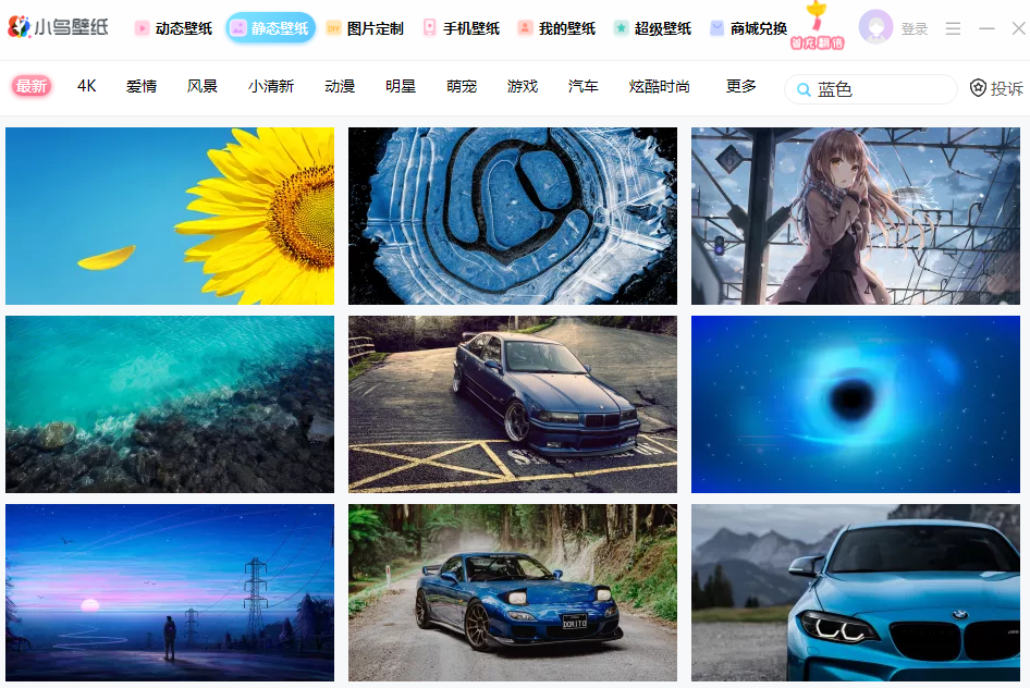 小鳥動態(tài)壁紙電腦版