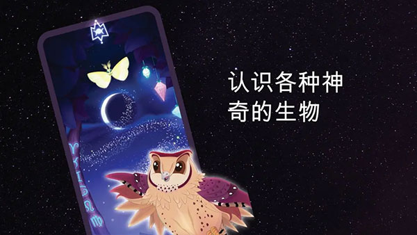 彩翼之星夜無(wú)限熒光幣