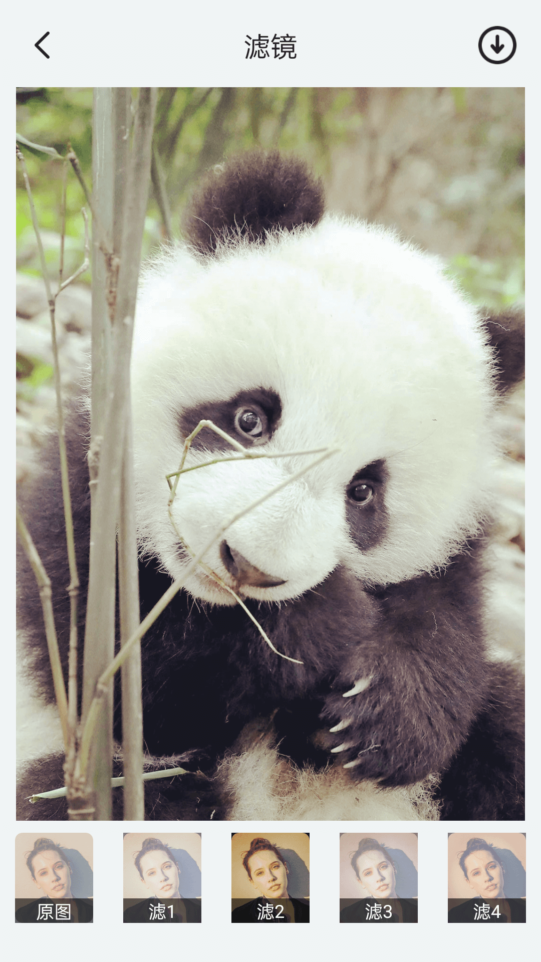 神奇相機官網(wǎng)版