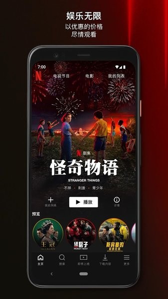 Netflix專業(yè)版