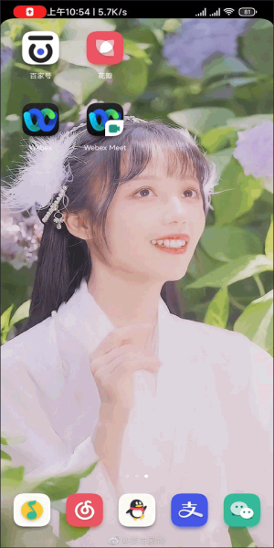 Webex專(zhuān)業(yè)版