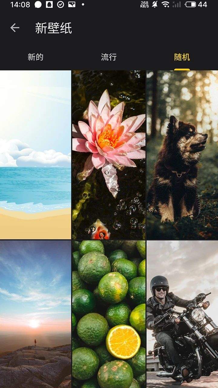 福來多壁紙綠色版