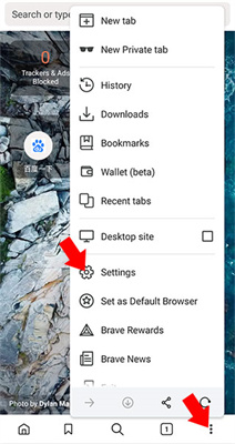 Brave瀏覽器中文版