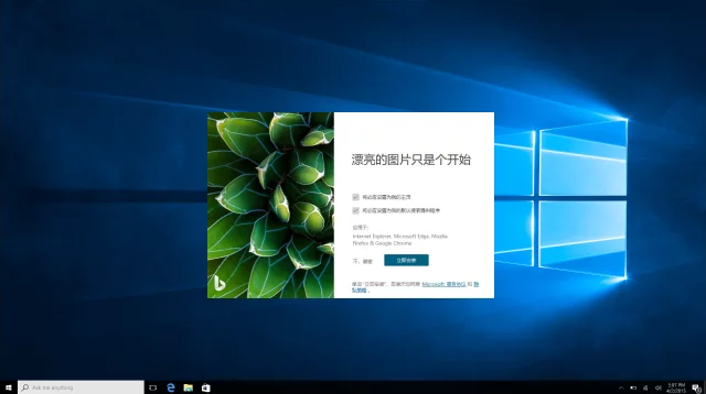 必應(yīng)壁紙最新版