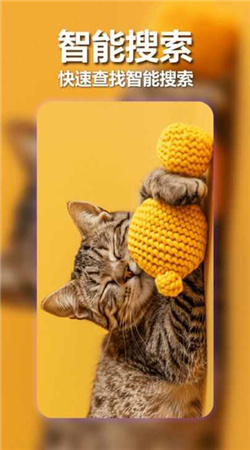 壁紙寶盒手機(jī)免費(fèi)版