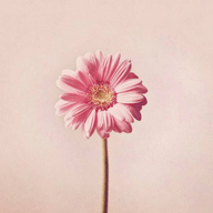 心情物語(yǔ)安卓手機(jī)版