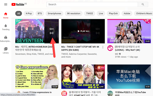 4K Video Downloader(附實用方法)