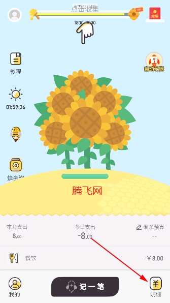 蜂窩記賬手機版